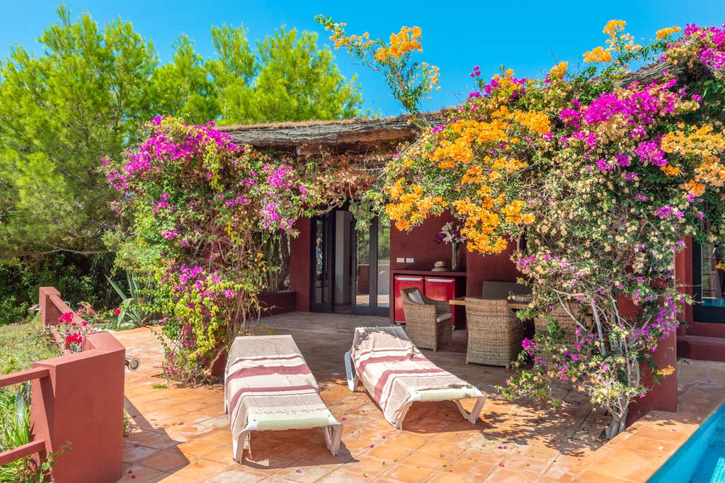 Villa Urpa Ibiza Olivers Travels 4