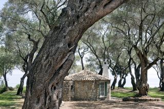 Chapel View Corfu Olivers Travels 1