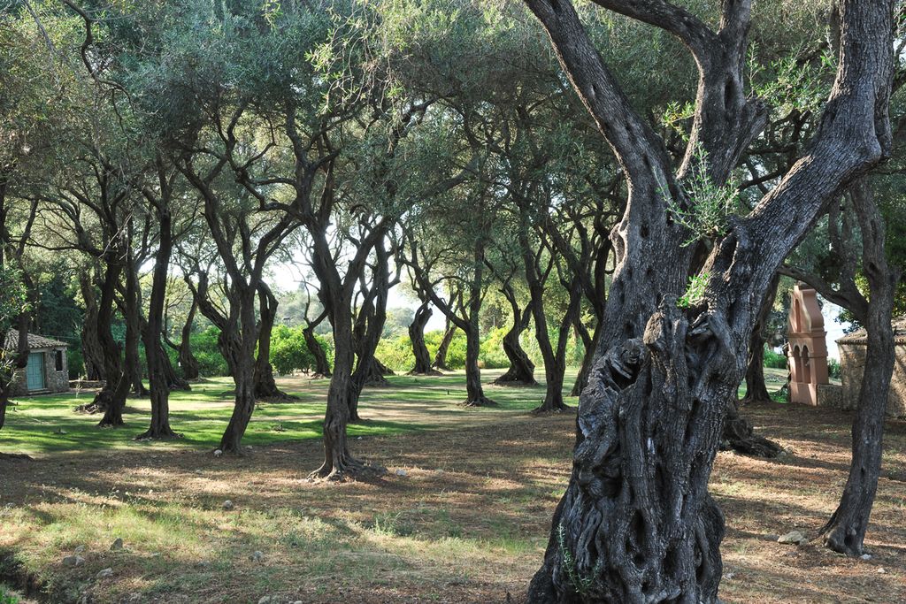 Chapel View Corfu Olivers Travels 4
