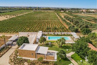 Villa Ortesi Sicily Olivers Travels 01