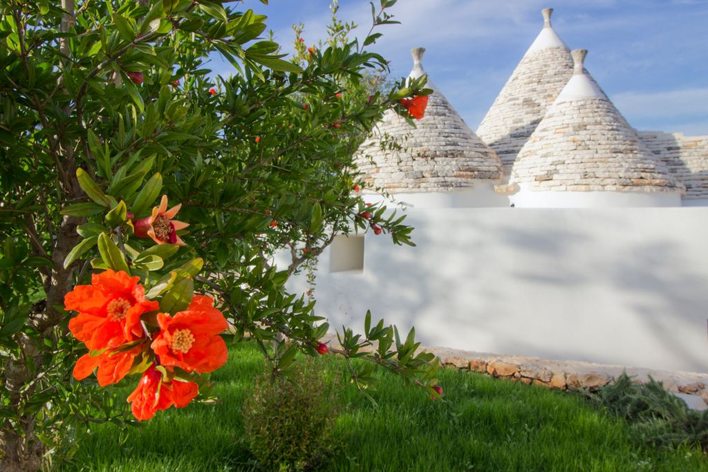 Trullo le Fate Puglia Olivers Travels 2