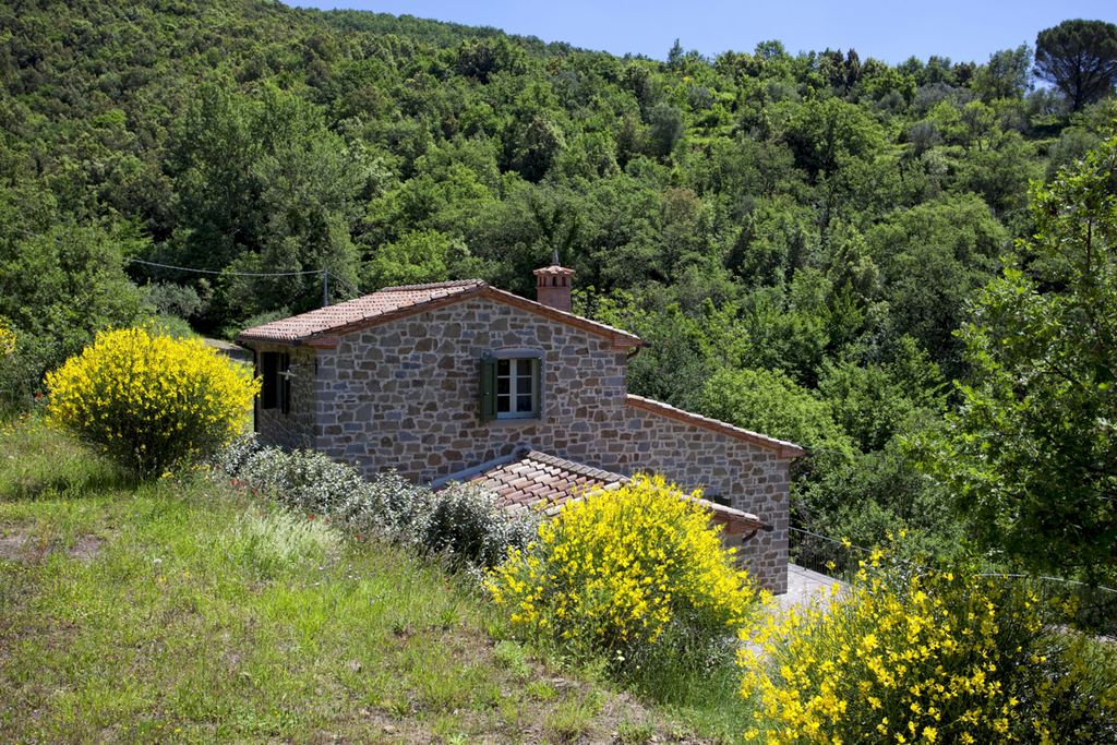 Olivetanni Tuscany Olivers Travels 2