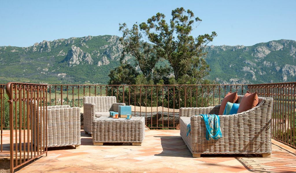 L Ecole Des Vignes Corsica Olivers Travels 5