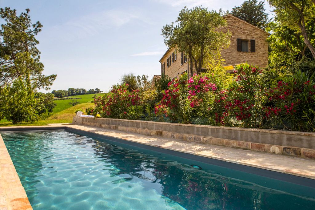 I Girasoli Marche Olivers Travel 1