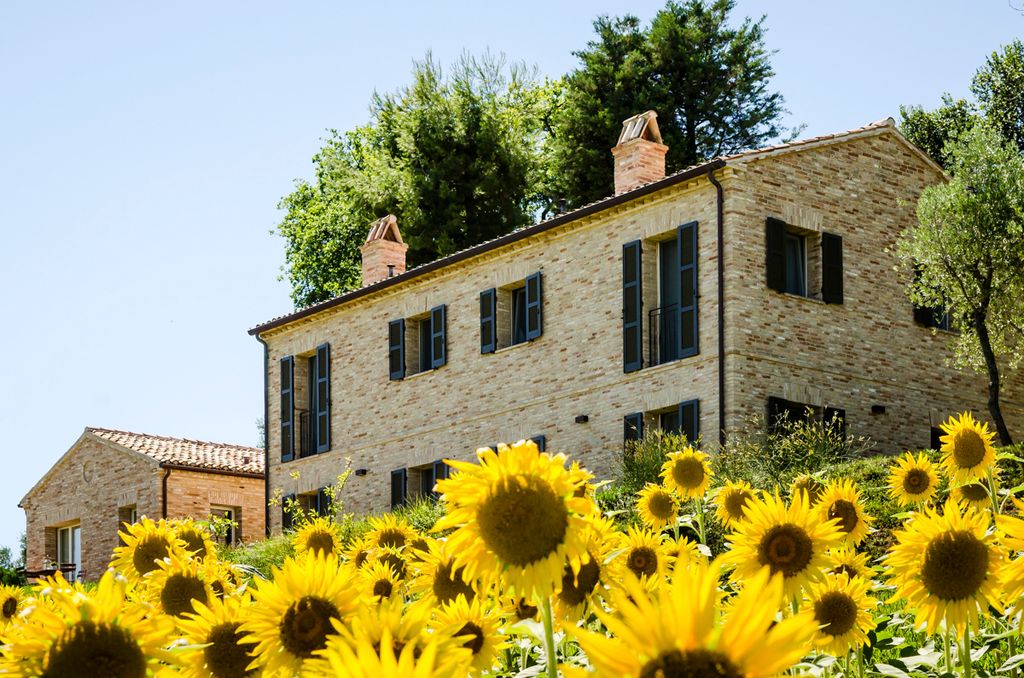 I Girasoli Marche Olivers Travel 7