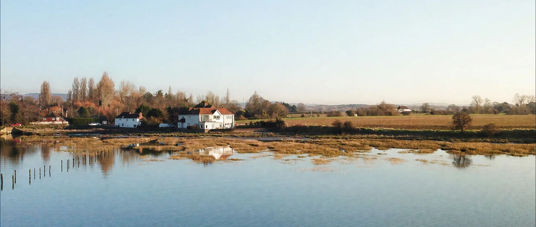 001 snow goose england olivers travels desktop center