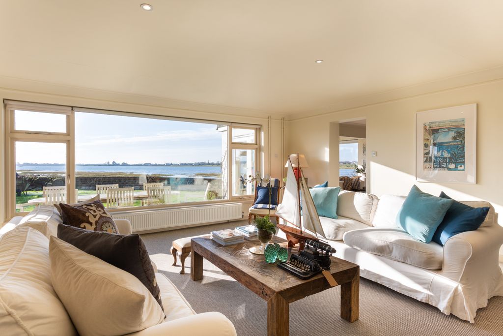 Snow Goose South East Olivers Travels 4