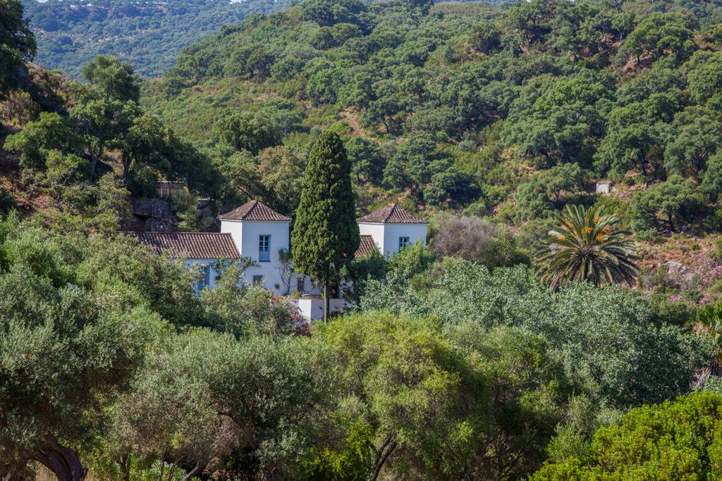 Villa Frontera Costa de la Luz Olivers Travels 1  2 