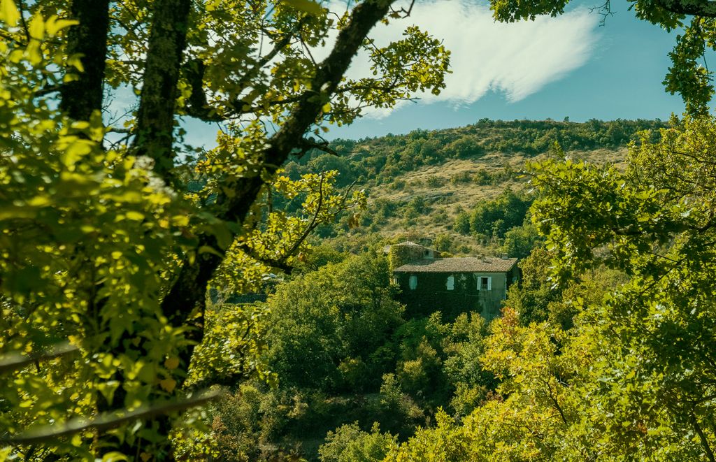 Chateau Sauvage Rhone Alpes Olivers Travels2