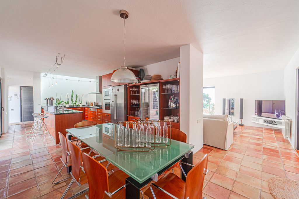 Villa Delicias Ibiza Olivers Travels 04