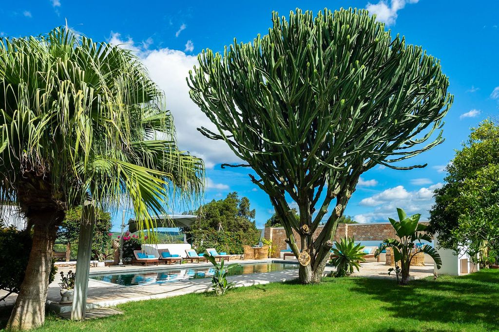 Villa Xul Ibiza Olivers Travels 02