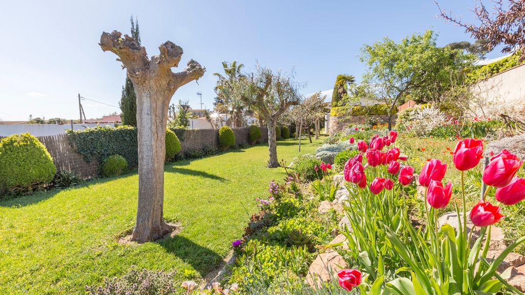 El Senglar Costa Brava Olivers Travels 2