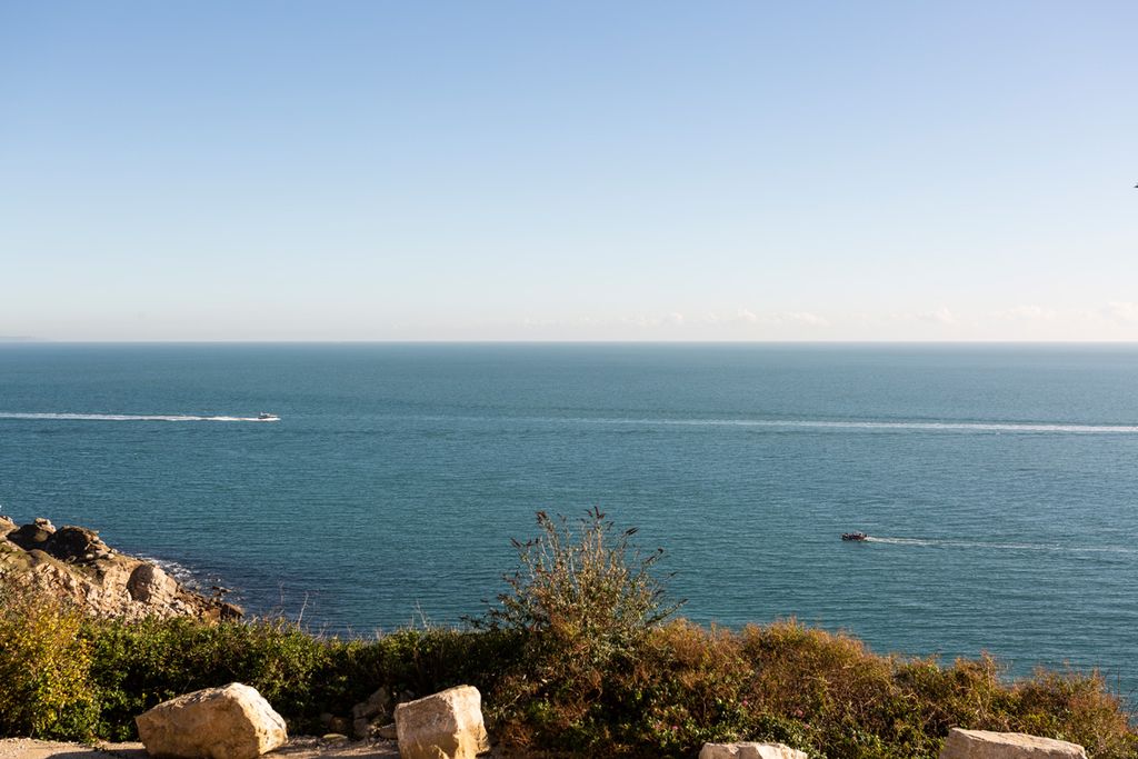 Blue Lodge Dorset Olivers Travels 6