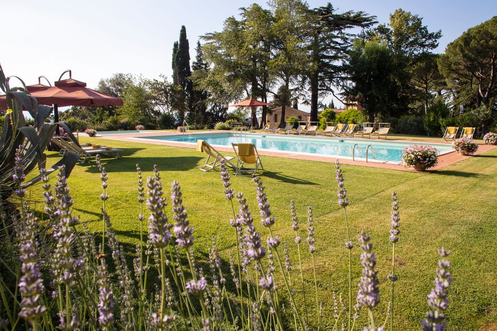 Tenuta Bartolucci Tuscany Olivers Travels 1