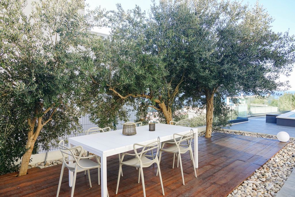 Villa Edvige Dalmatia Olivers Travels 2