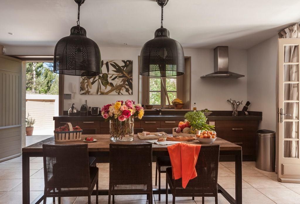 Villa Pinede Provence Olivers Travels 3