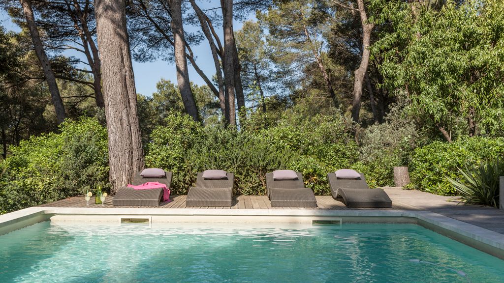 Villa Pinede Provence Olivers Travels 7
