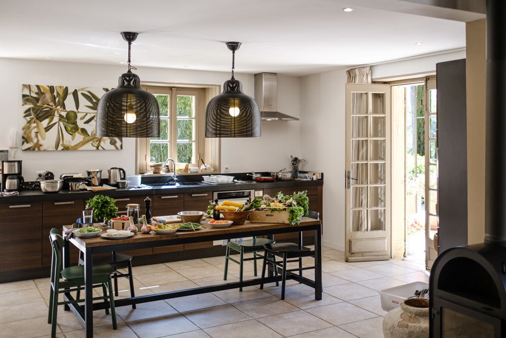 Villa Pinede Provence Alpes OliversTravels 5