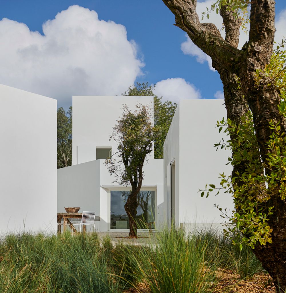 Casa Luum Loule Olivers Travels 2