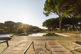 Pine House Lisbon Olivers Travels 2