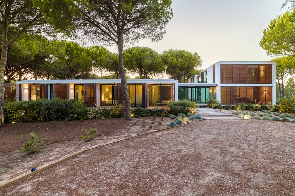 Pine House Lisbon Olivers Travels 1