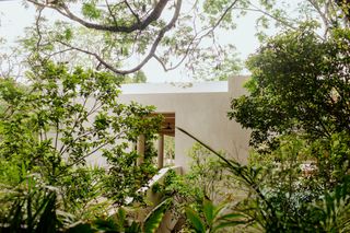 Luum Apartment Tulum Olivers Travels 1