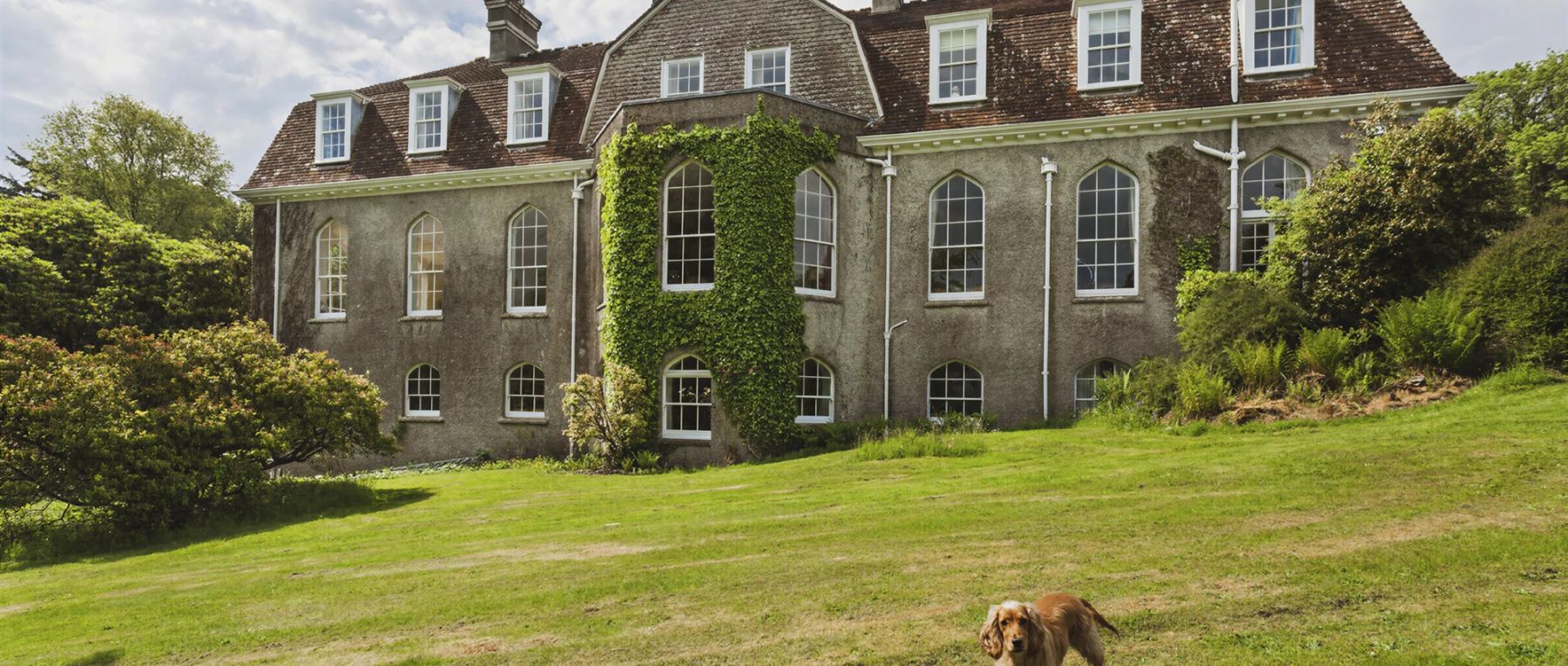 001 camellia manor england olivers travels desktop center