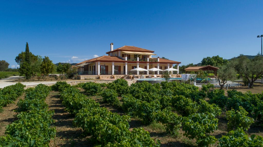 Villa Aristotle Aneli Villas Zakynthos Olivers Travels 5