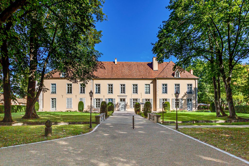 Chateau de Reon Burgundy Olivers Traves1