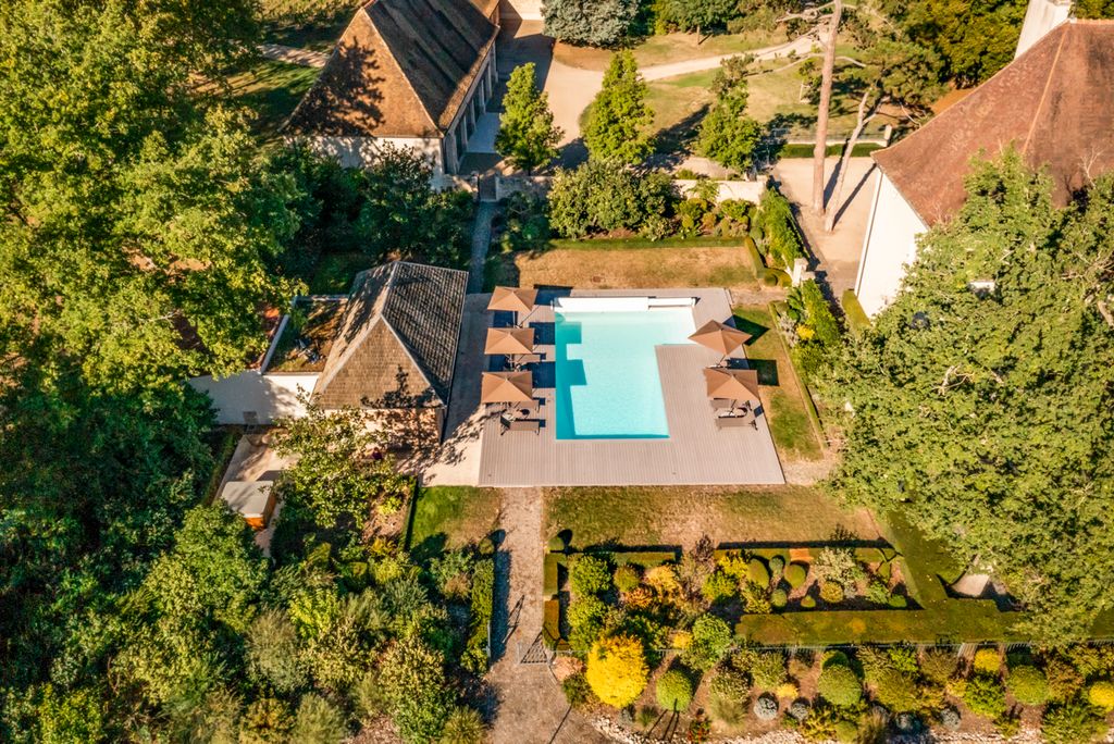 Palais de Reon Burgundy Olivers Traves2