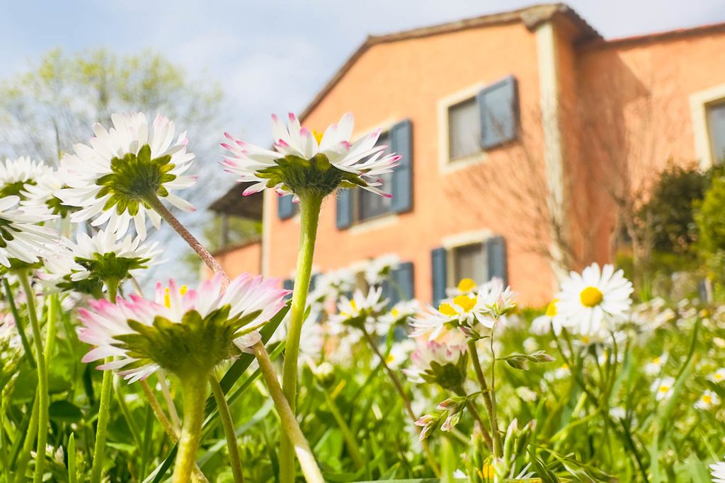 Casa Castano Tuscany Italy OliversTravels 2