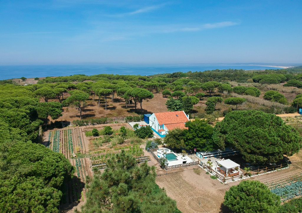 Villa Castelo Sesimbra Olivers Travels 1