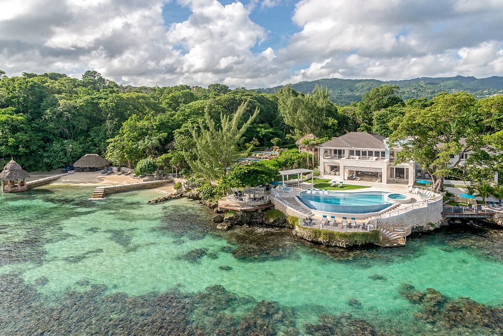 Artwood Reef Jamaica Olivers Travels 1