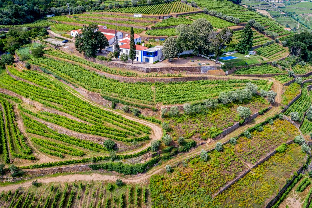 Boavista Vista Douro Olivers Travels 2