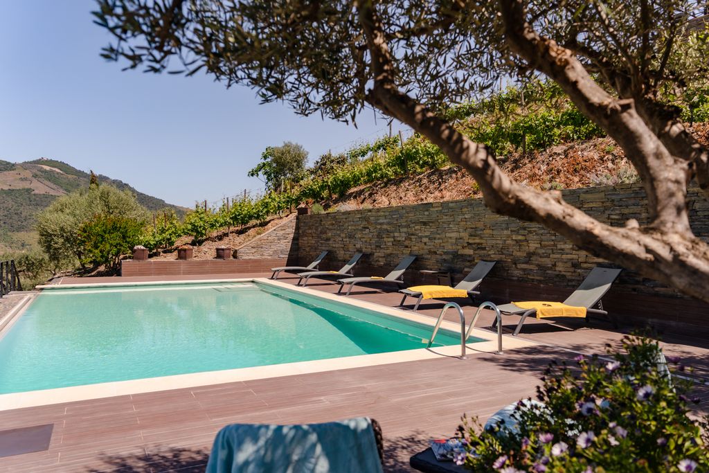 Villa Folgosa Douro Portugal OliversTravels 2
