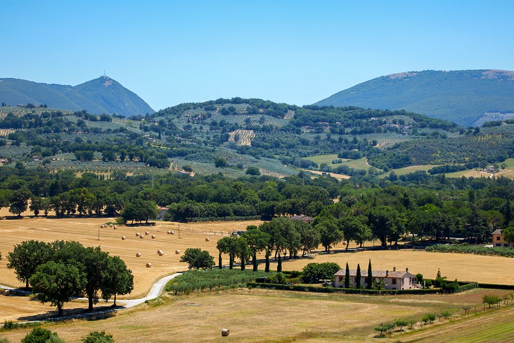 Gens Flavia Umbria Olivers Travels 2