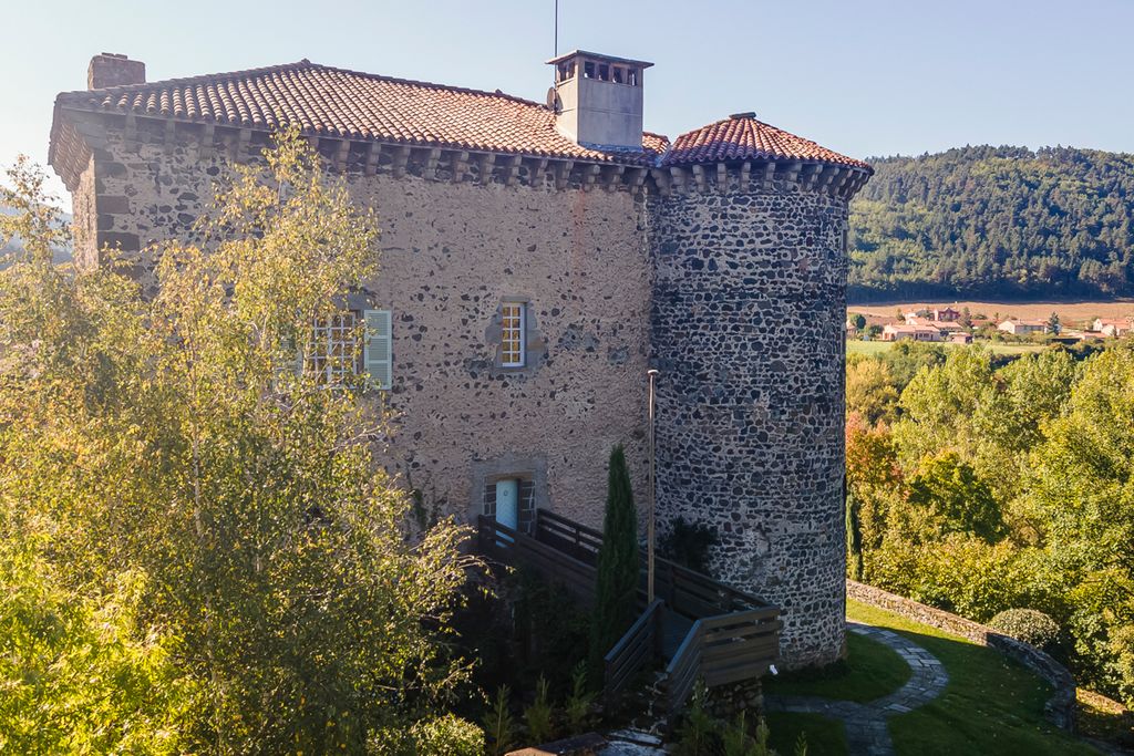 Chateau De Blau Rhone Alpes Olivers Travels2