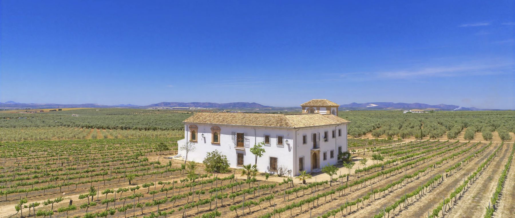 001 cortijo don cristobal southern spain olivers travels desktop center