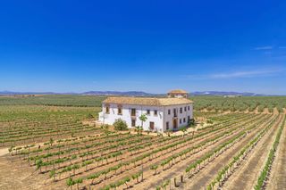 Cortijo Don Cristobal Andalucia Olivers Travels 1
