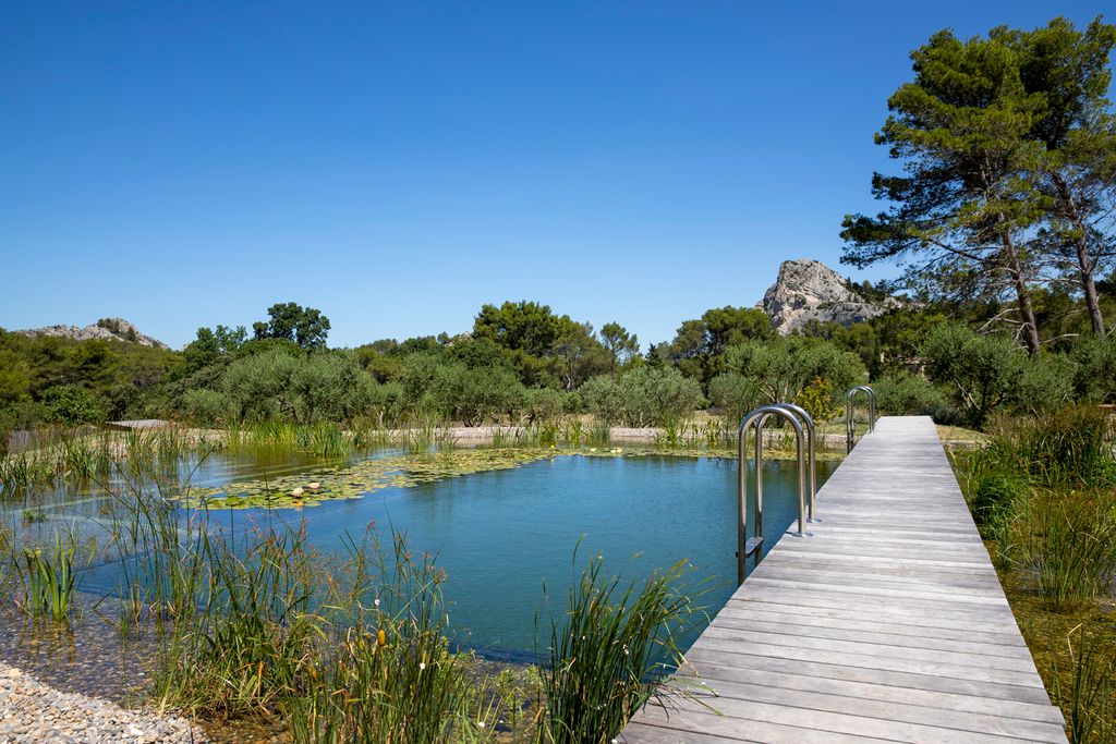 Les Roses Blanches Provence Olivers Travls 2