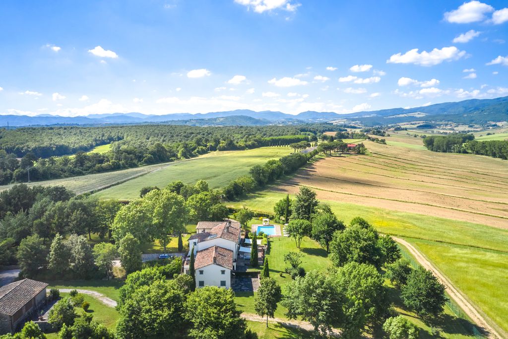 Bosco Ai Frati Tuscany Olivers Travels 02