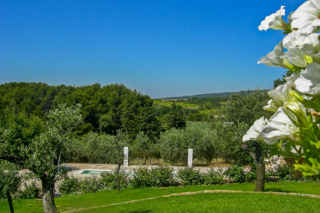 Villa Novelli Provence Olivers Travels 2