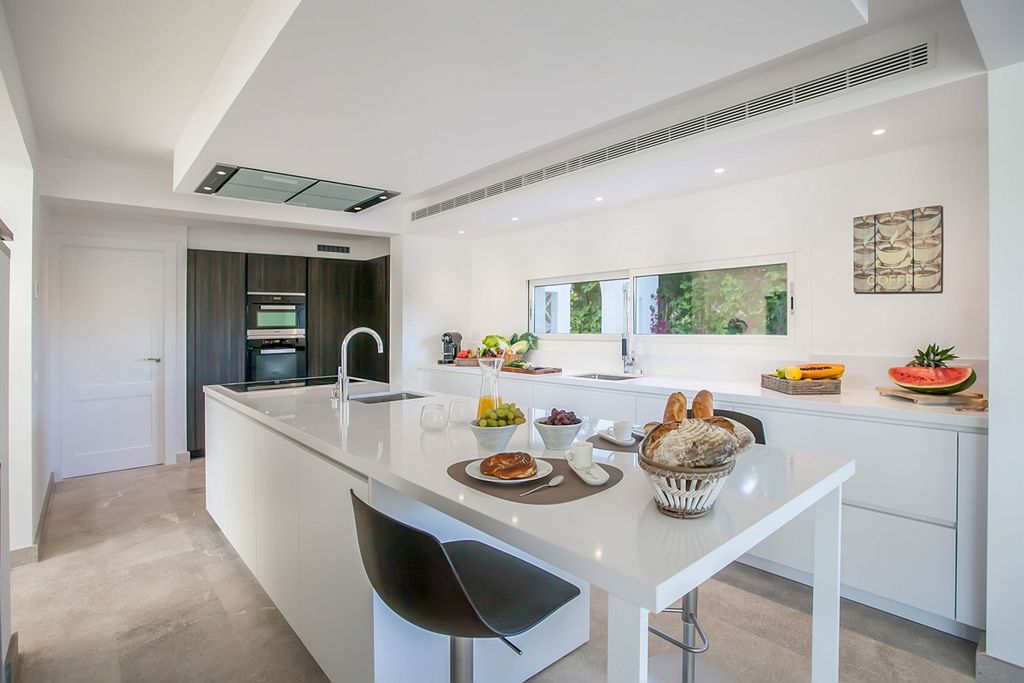 Andratx Bestiar Mallorca Olivers Travels 5