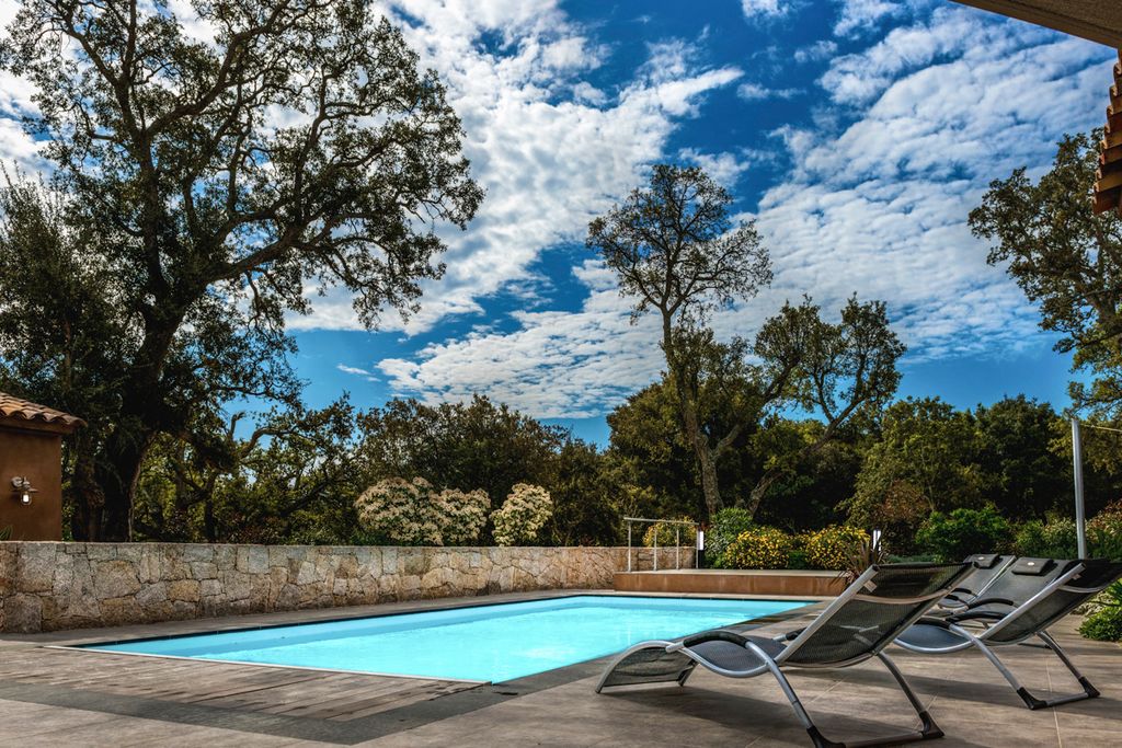 Villa Arburi Corsica Olivers Travels 5