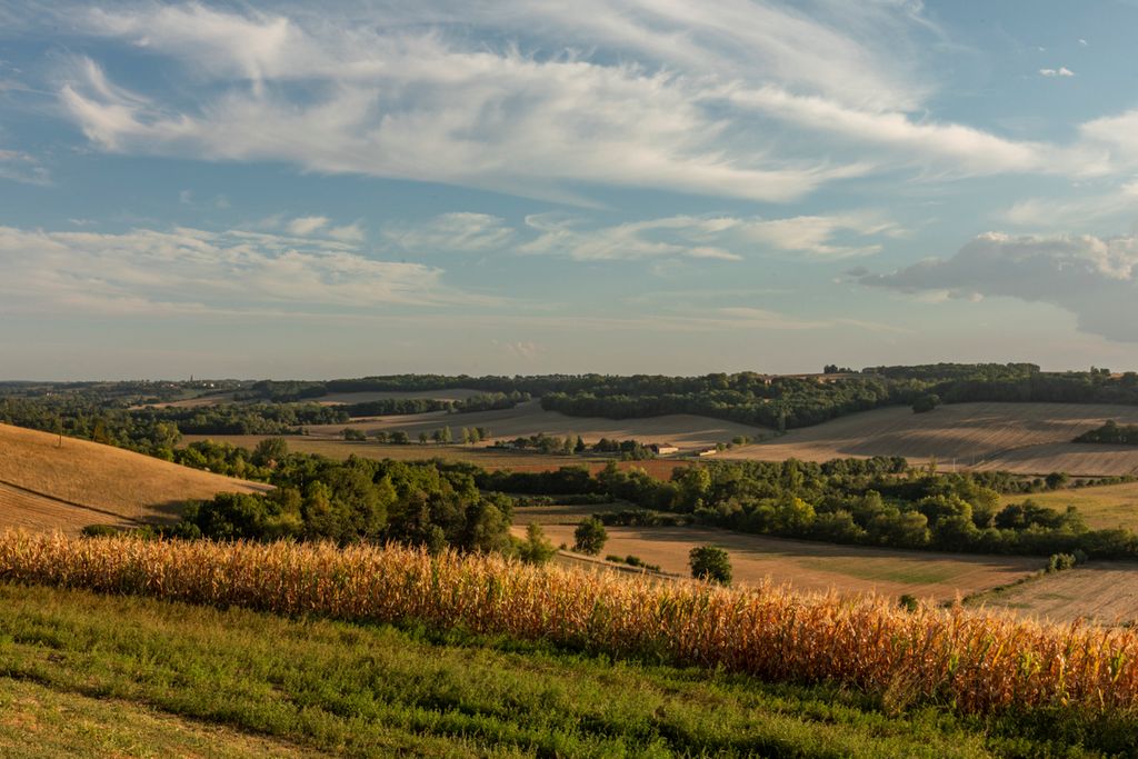 Le Mas du Village Midi Pyrenees Olivers Travels 2