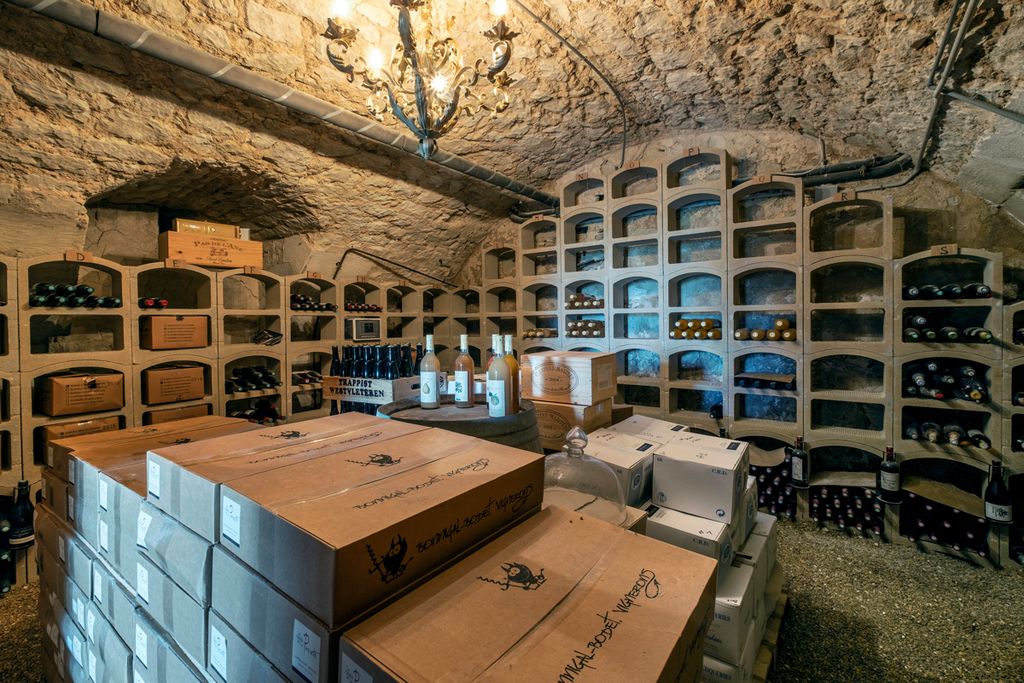 Chateau les Bains Loire Valley Olivers Travels 5