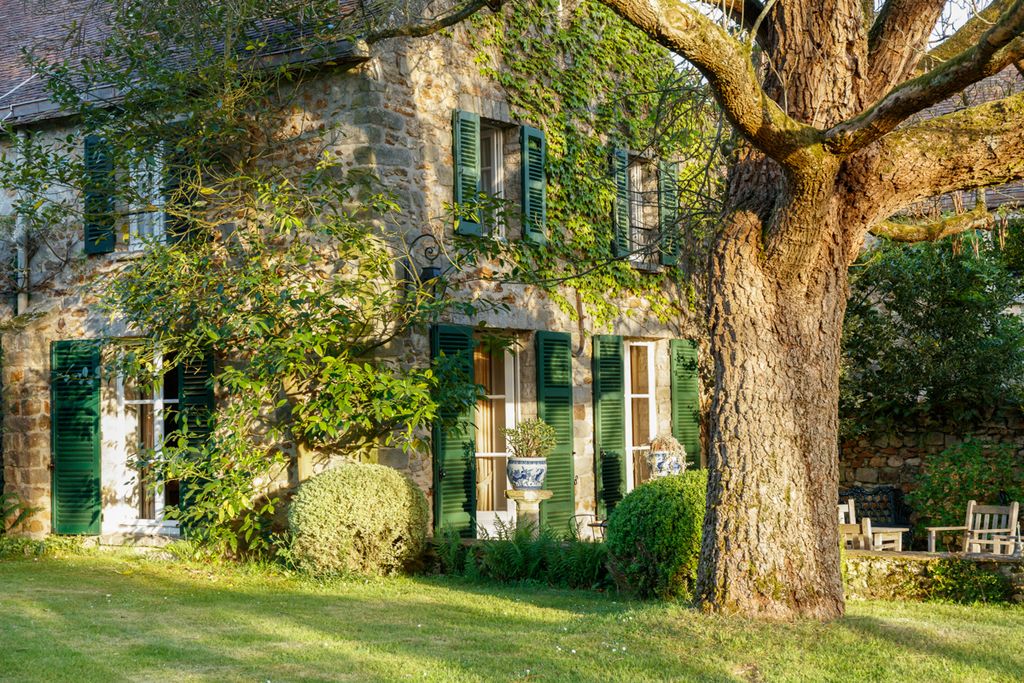 Fleur Du Lupin Paris Olivers Travels 6