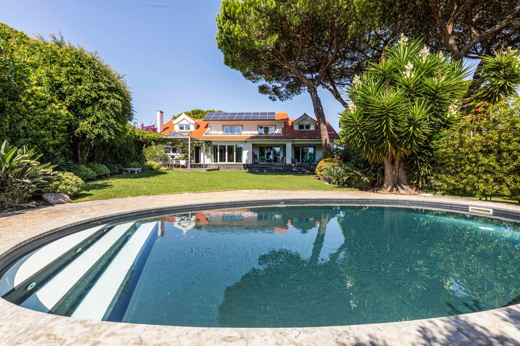 Lisbon Bloom Lisbon Olivers Travels 1