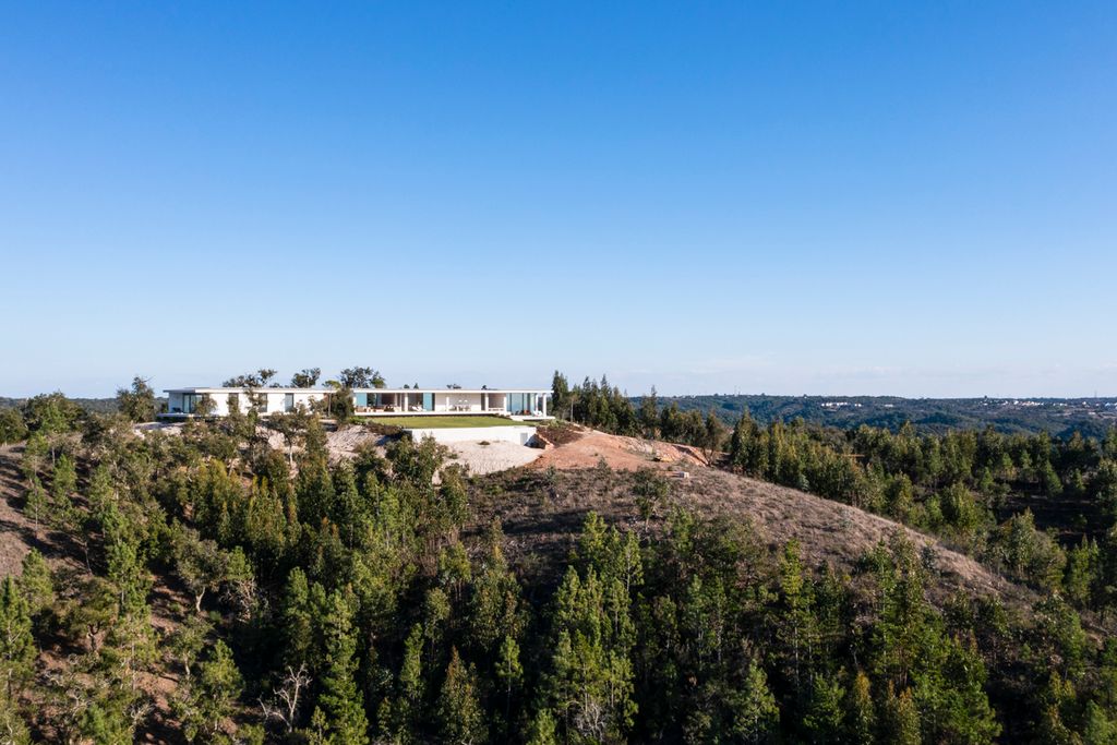 Deluxe Melidas Alentejo Olivers Travels 6