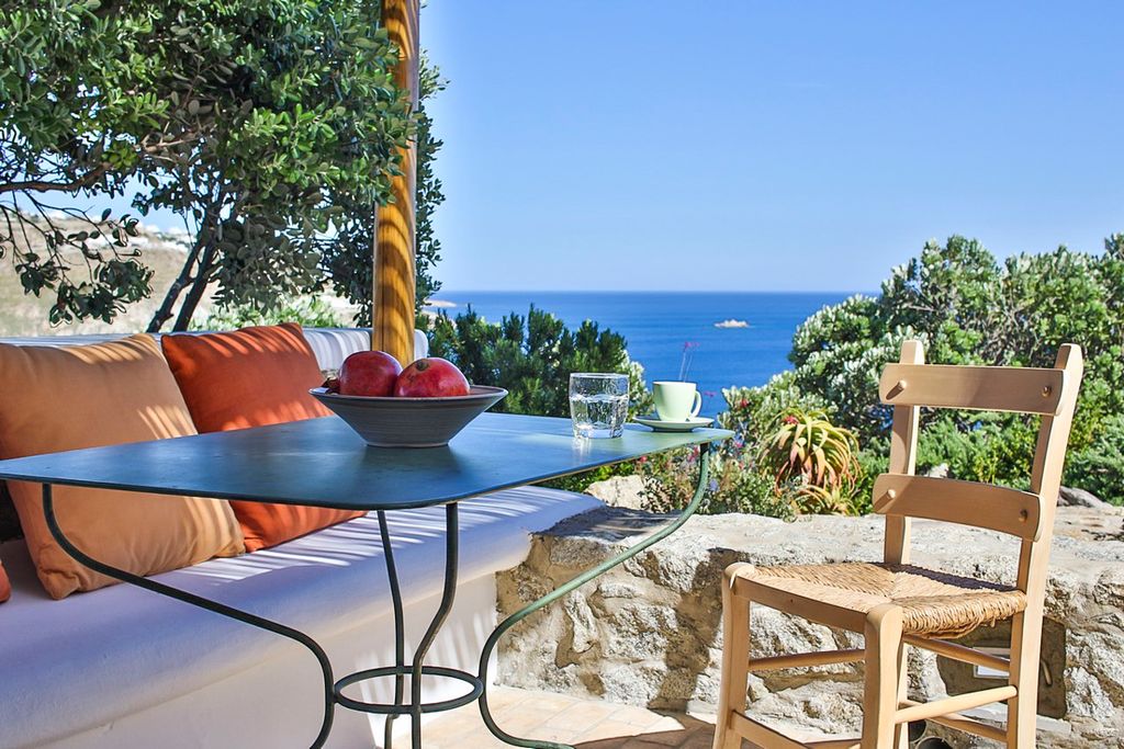 Villa Hector Mykonos Olivers Travels 5
